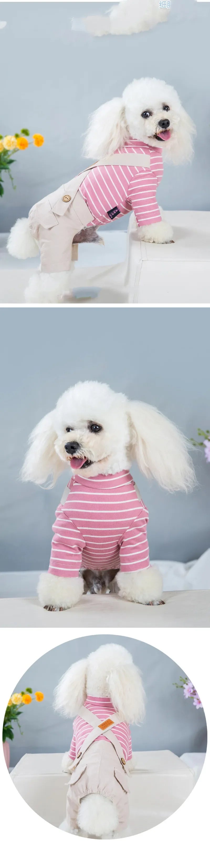 2023 Princess Dog Colorful Stripe Soft Suit Puppy Jumpsuit Spring Doggie Casual Pants Small Medium Pet Couple Four-Legged Coat