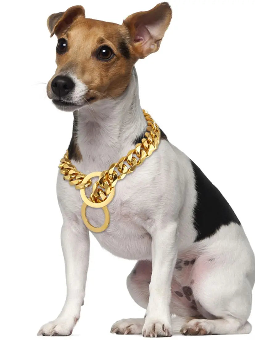 Gold Dog Chain Collar, Large Metal Dog, Medium Link Link, Small Steel, Cuban, Walking, Training
