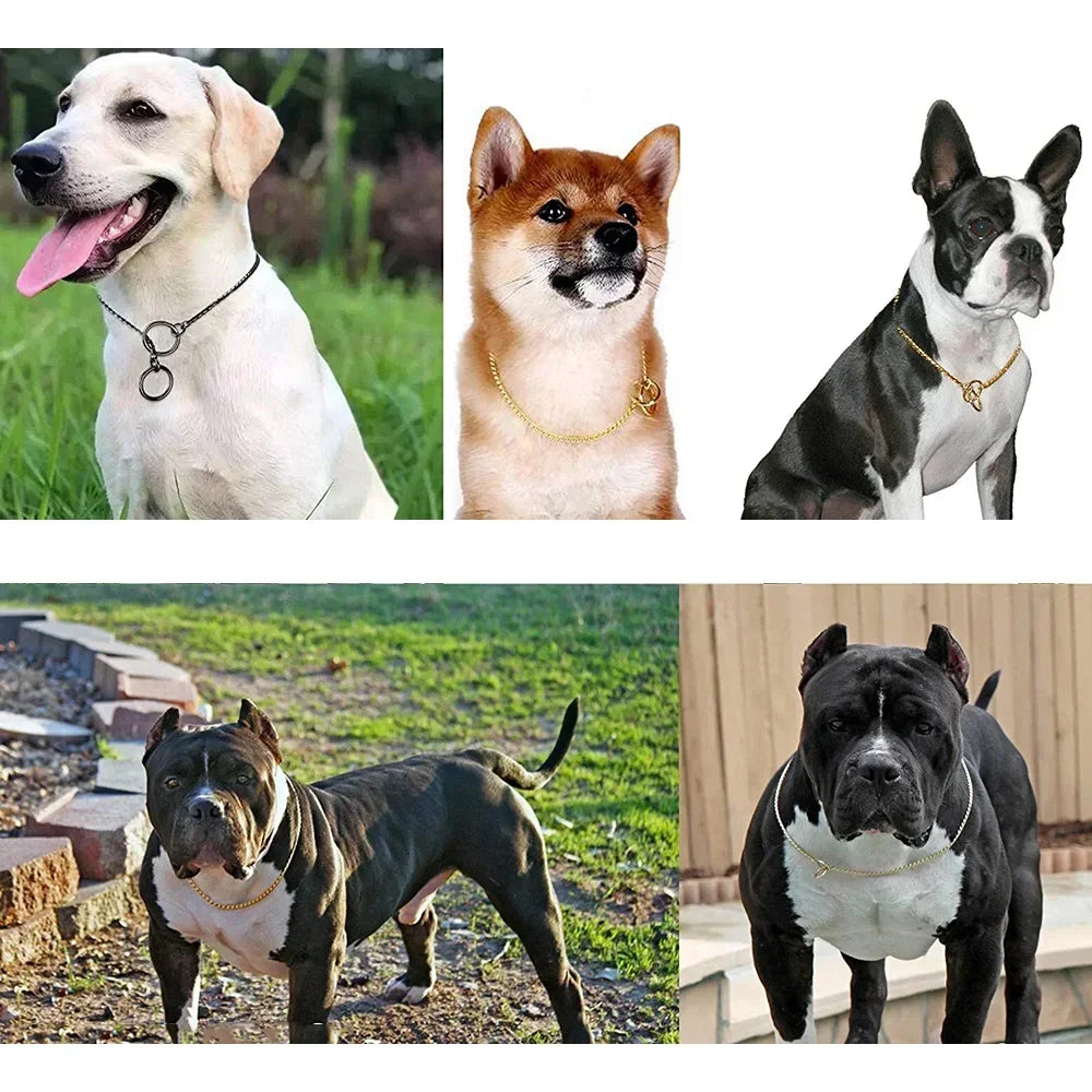Metal Chain Dog Show Collar Pet Slip Collar for Shows Fine Brass Snake Choke Chain Collar Adjustable for Small Medium Large Dogs