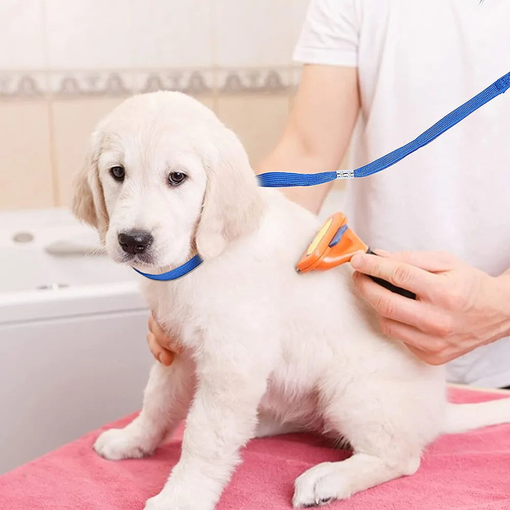 Pet Cat Dog Grooming Loop Adjustable Noose Loop for Cat Puppy Small Dog Bathing Tether Strap Heavy Duty Nylon Restraint Noose