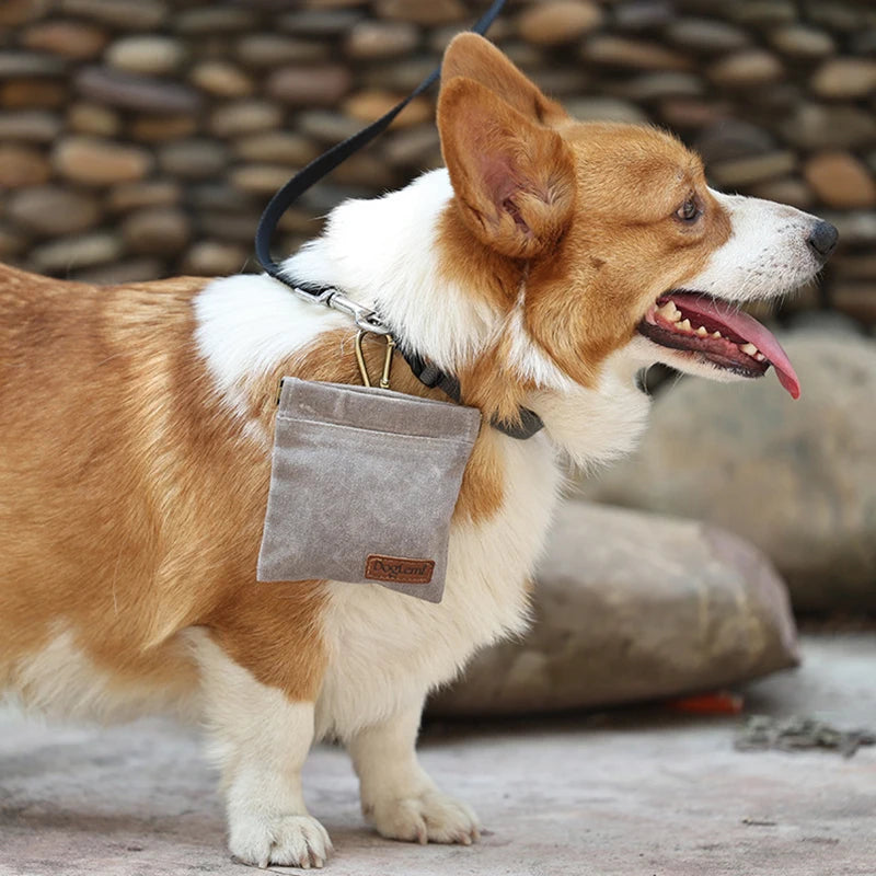 Training Treat Pouch