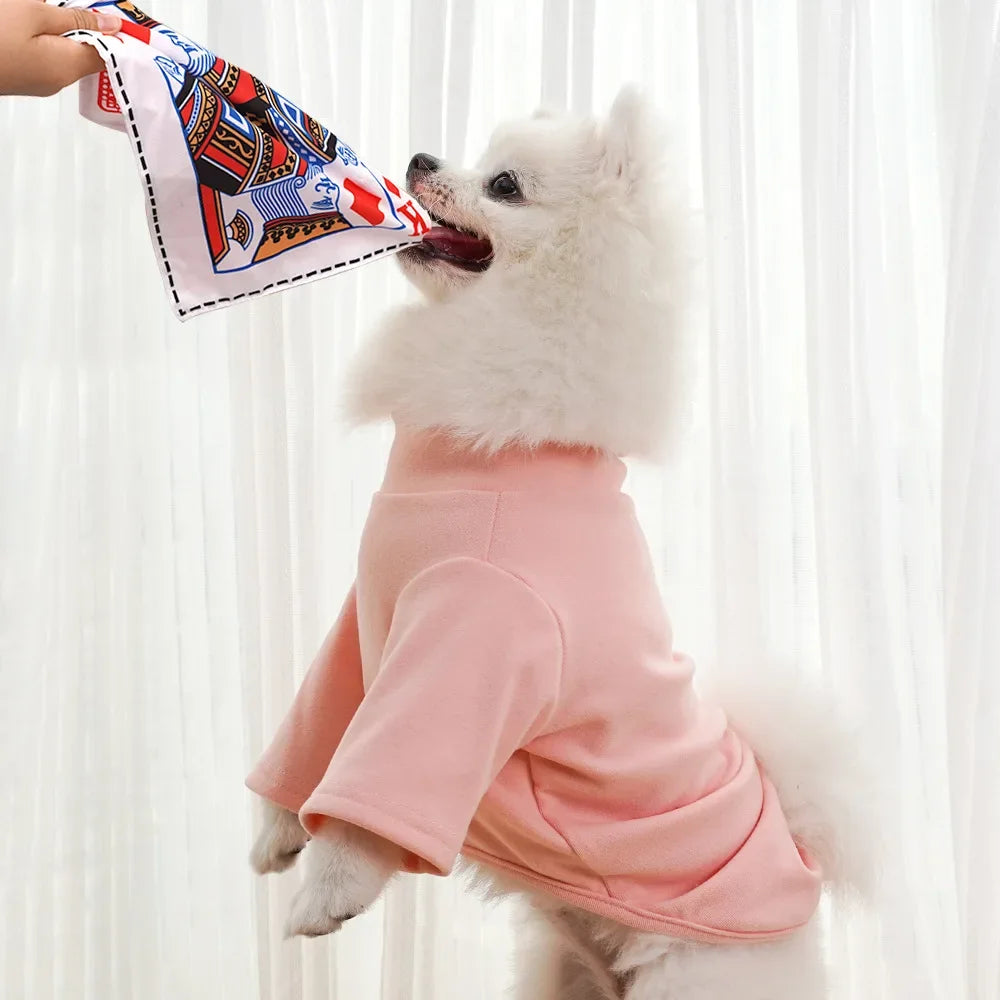 Plastic Creaks Squeaky Newspaper Poker Crinkle Dog Toys Fun Interactive Tug of War Dog Chew Toy Washable Bite-Resistant Pet Toys