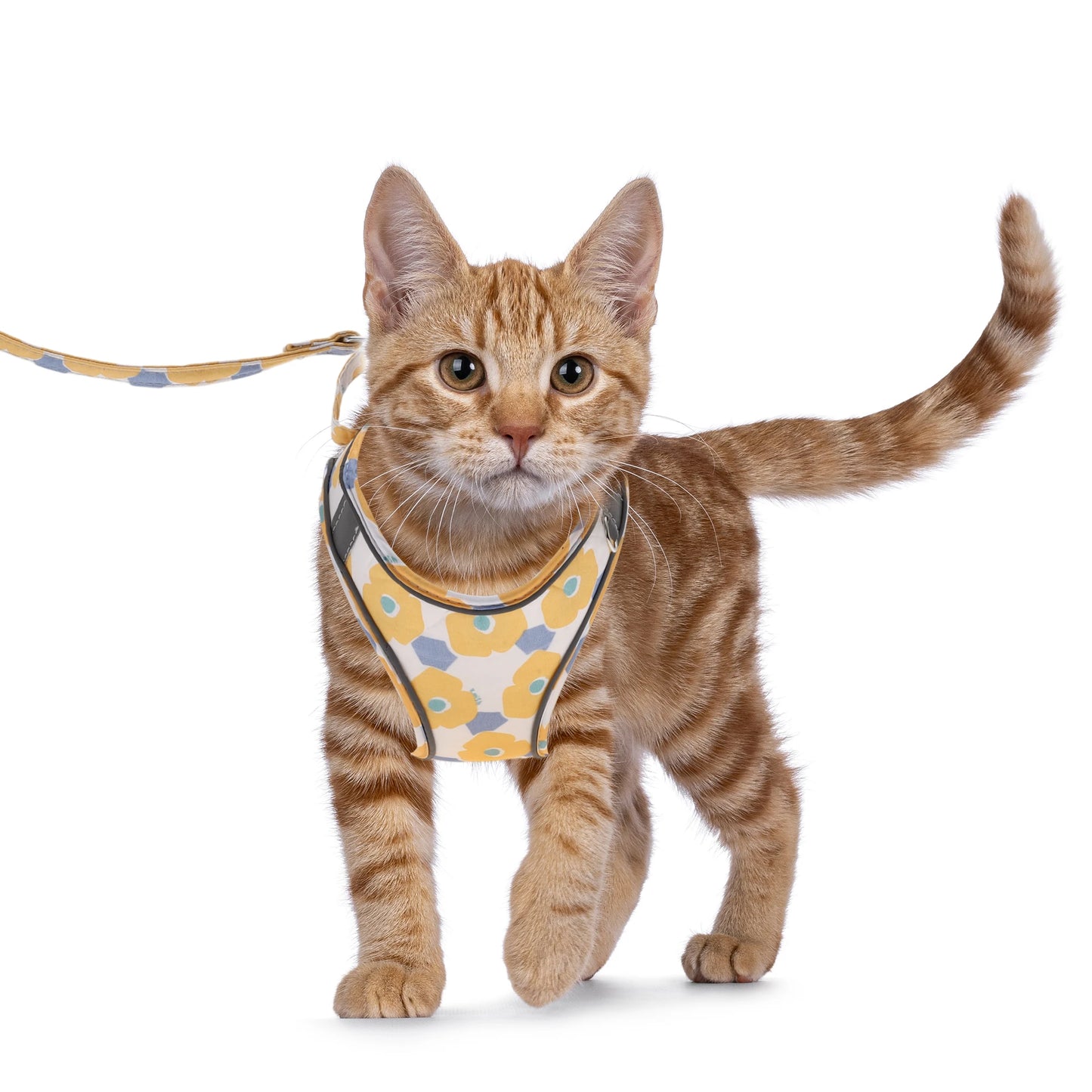 Uxcell Fashion Puppy Harness and Leash Set Pet Harness Vest with Reflective Strips and Magic Tapes for Kitten Puppy Outdoor