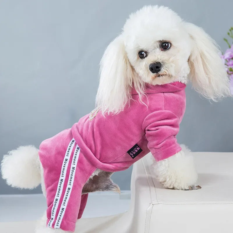 Pet Dog Clothing Four-legged Fashion letter Pet Dog Clothes for Dogs Coat Hoodie Sweatshirt Four seasons One-piece Jumpsuit