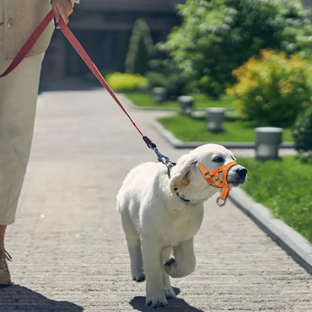 Mouth Leashes for Dogs Padded Adjustable Dog Head Harness Leader Leashes for Dog over Mouth Training Leashes Dog Head Collar