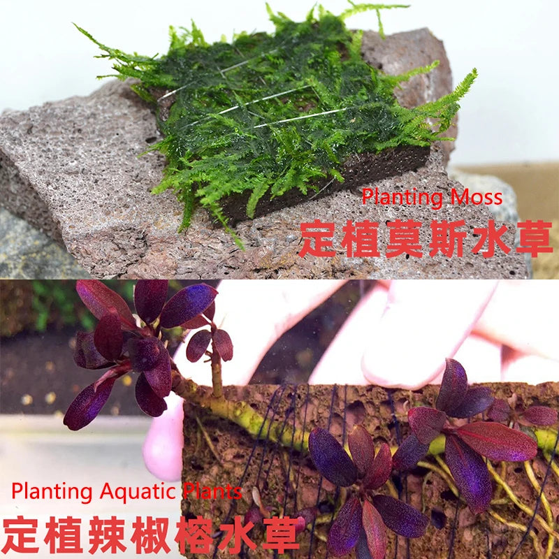 Volcanic Aquarium Decoration Fish Tank Plant Fixed Moss Water Grass Stone Slices Natural Volcanic Planting Slices Aquarium Decor
