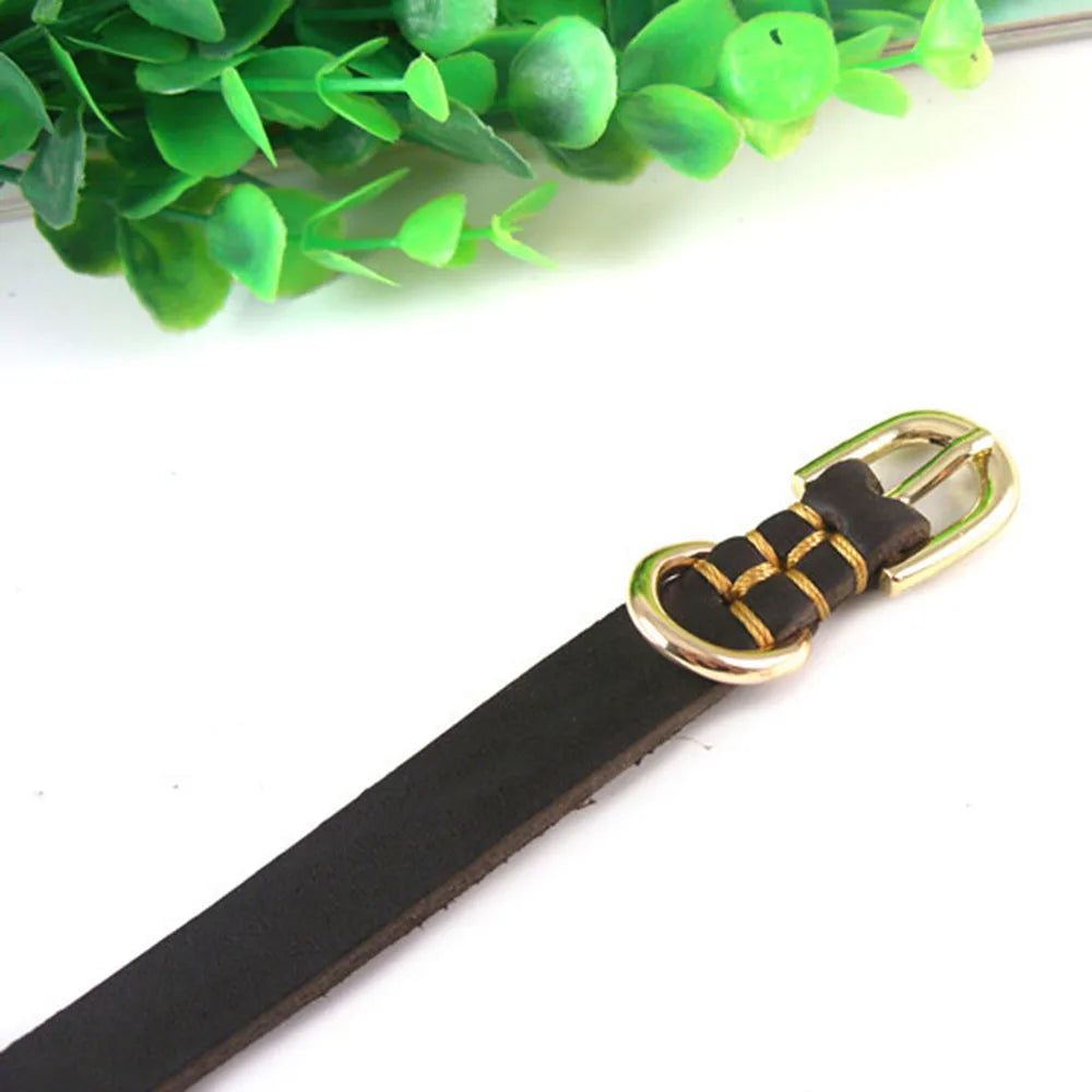 Soft Real Leather Puppy Collar Genuine Leather Dog Collar for Small Dogs and Cats Adjustable Pet Collar for Doggy Terrier Yorkie
