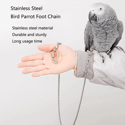 Stainless Steel Bird foot Chain Parrot Anti-flying Traction Rope Bird Feet Bracelet Alloy Foot Ring Pet Bird Training Leash