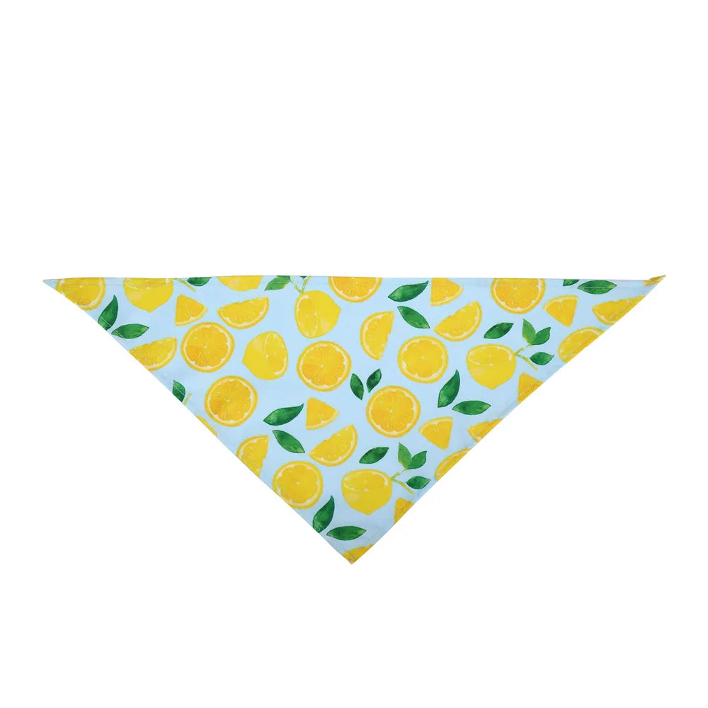 Cartoon Food Print Triangle Dog Collar Bandana Polyester Fade Resistant Pet Accessories Neck Scarf Small Dog Pet Supplies New