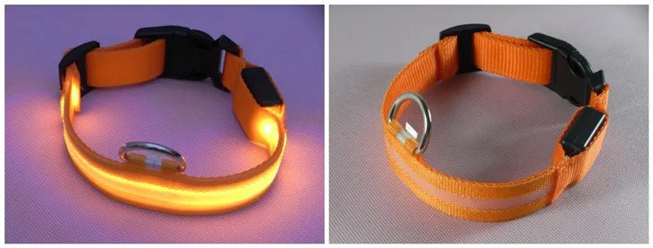 LED Dog Collar USB Rechargeable - Bright & High Visibility Lighted Glow Collar for Small Medium Large Breeds Pet Night Walking