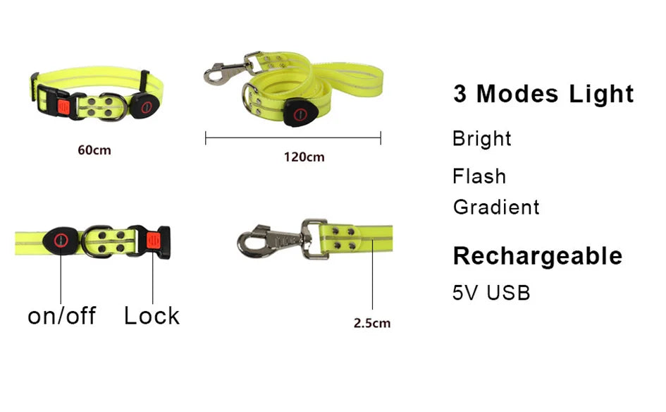 Led Light Up Dog Leash Walking Safety Glow in The Dark USB Rechargeable Adjustable for Large Medium Small Pet Lighted Dog Collar