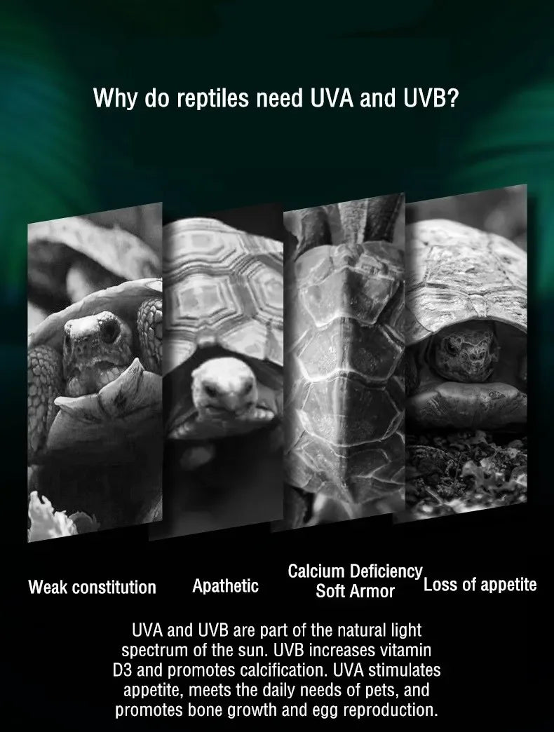 5.0/10.0 Full Spectrum UVA UVB LED Reptile Turtle Basking Light Sun Lamp Sunbathe Heat Lamp for Lizard Reptiles Amphibians
