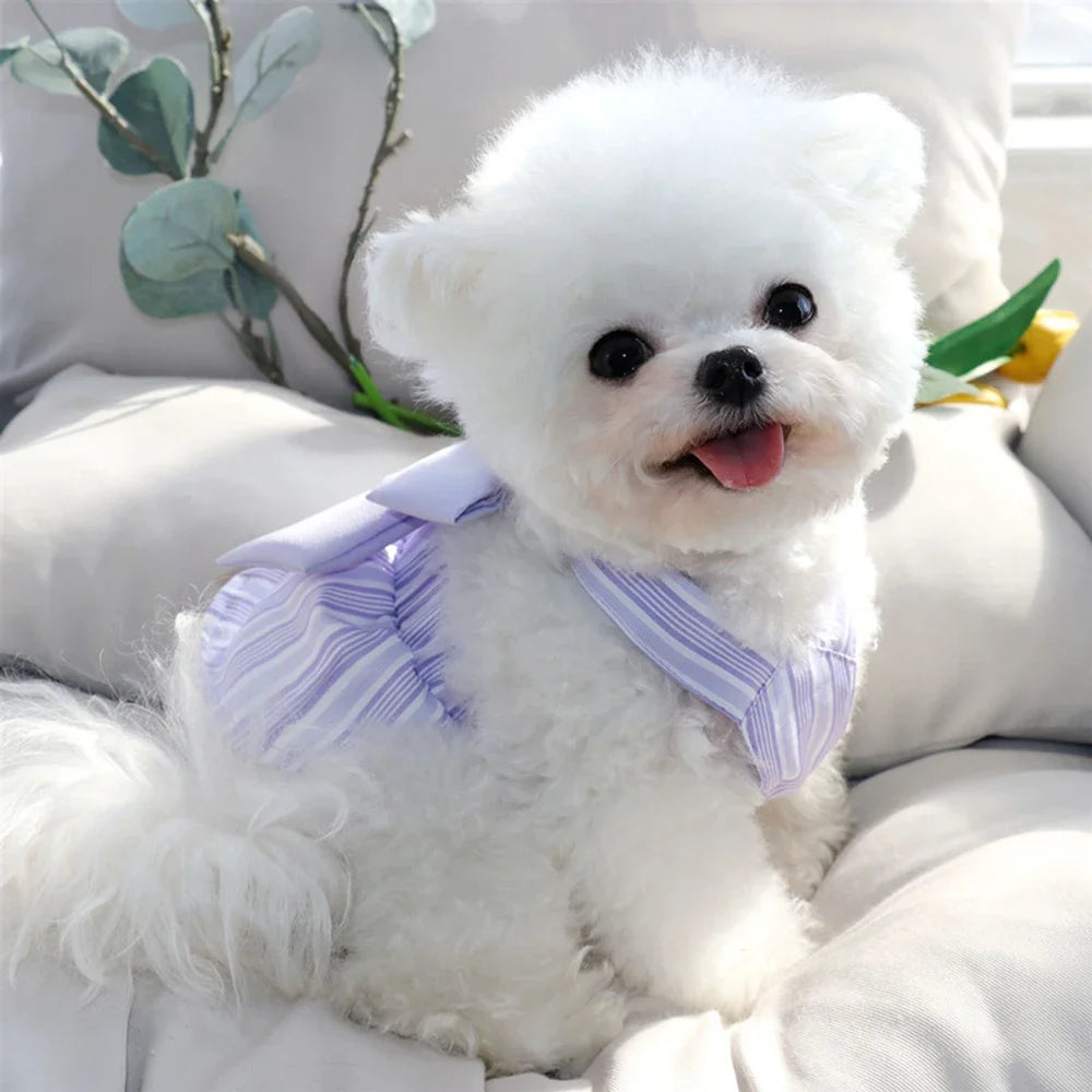 Summer Puppy Dog Skirt Dress with Buckle Sweet Stripe Pet Clothes for Small Dogs Pinscher Maltese mascotas Dresses disfraz perro