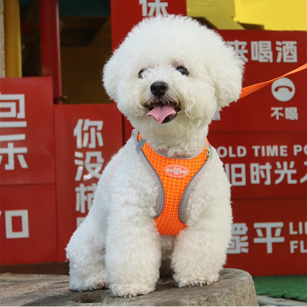 Summer Pincher Puppy Dog Vest Harness for Small Dogs High Quality Pet Harnesses and Leash Set Pomeranian Poodle mascotas Chain