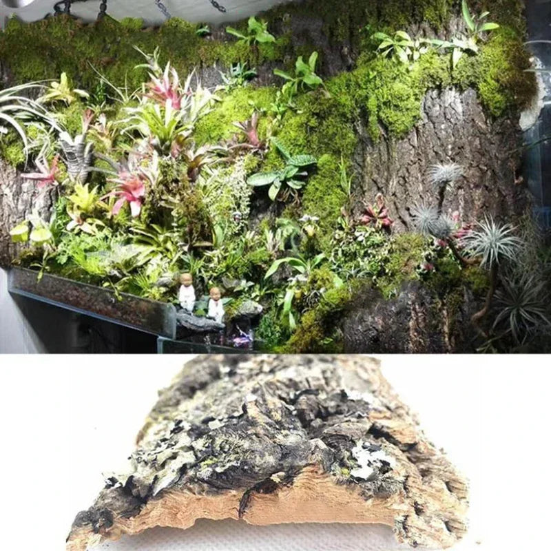 2Pcs Natural Tree Bark Aquarium Decoration Wood Artwork Decor Landscaping Ornaments Decor Fish Tank Background Moss Decor