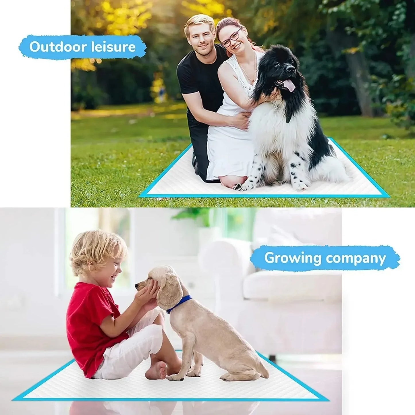 20/40/50/100pcs Dog Disposable Urine Pads, Dog Diapers High Absorbent Pet Cage Pads Puppy Potty Training Pads