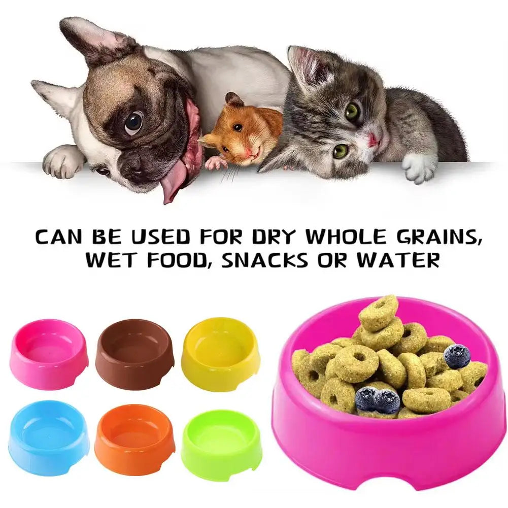 Candy Color Plastic Pet Round Bowl Cat And Dog Food Bowl Pet Small Cat And Dog Tableware Wholesale Easy To Clean Colorful