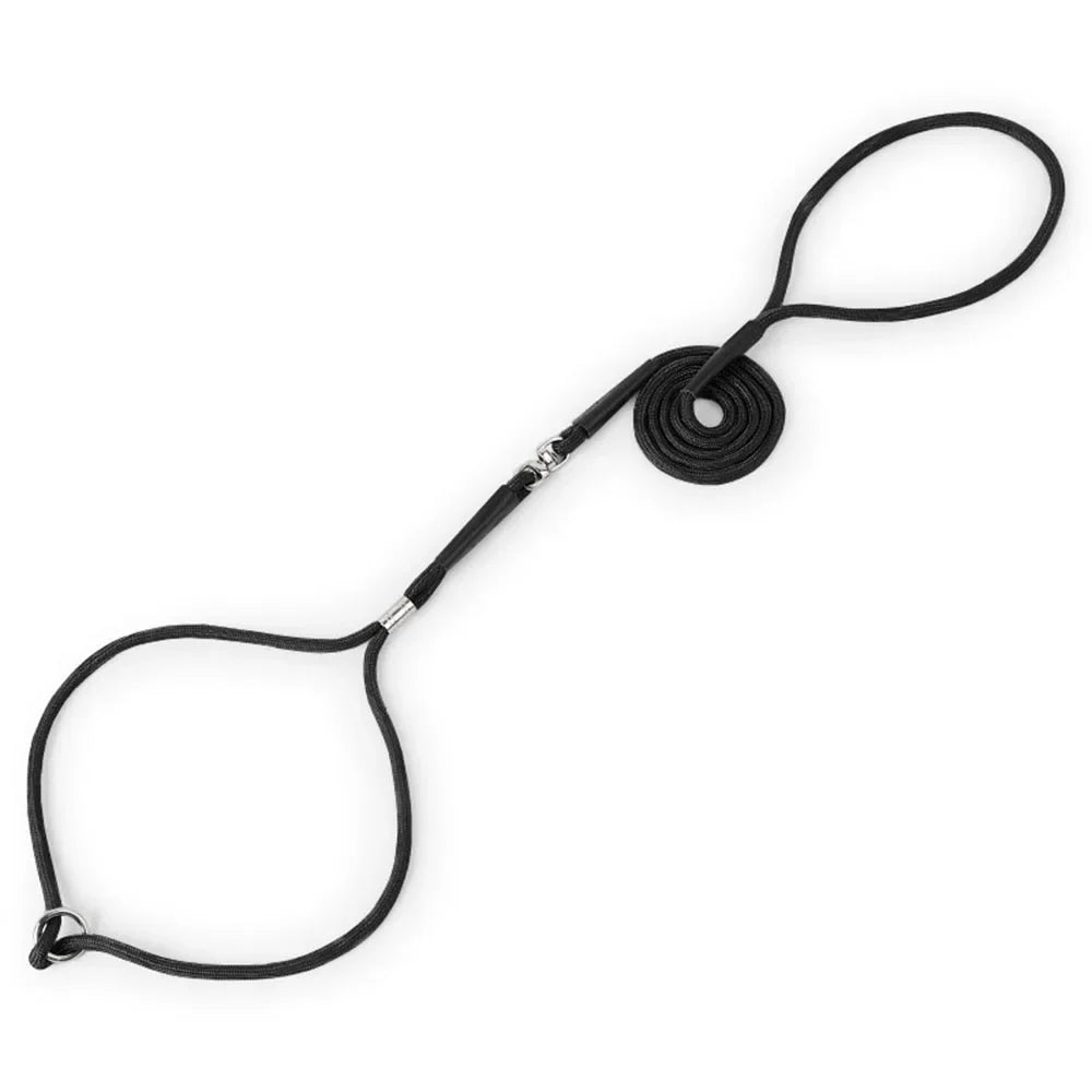 Superior Thin Nylon Slip Lead Dog Leash 5mm*120cm No Pull Pet Slip Leash for Puppy Training Adjustable Slip Collar for Small Dog