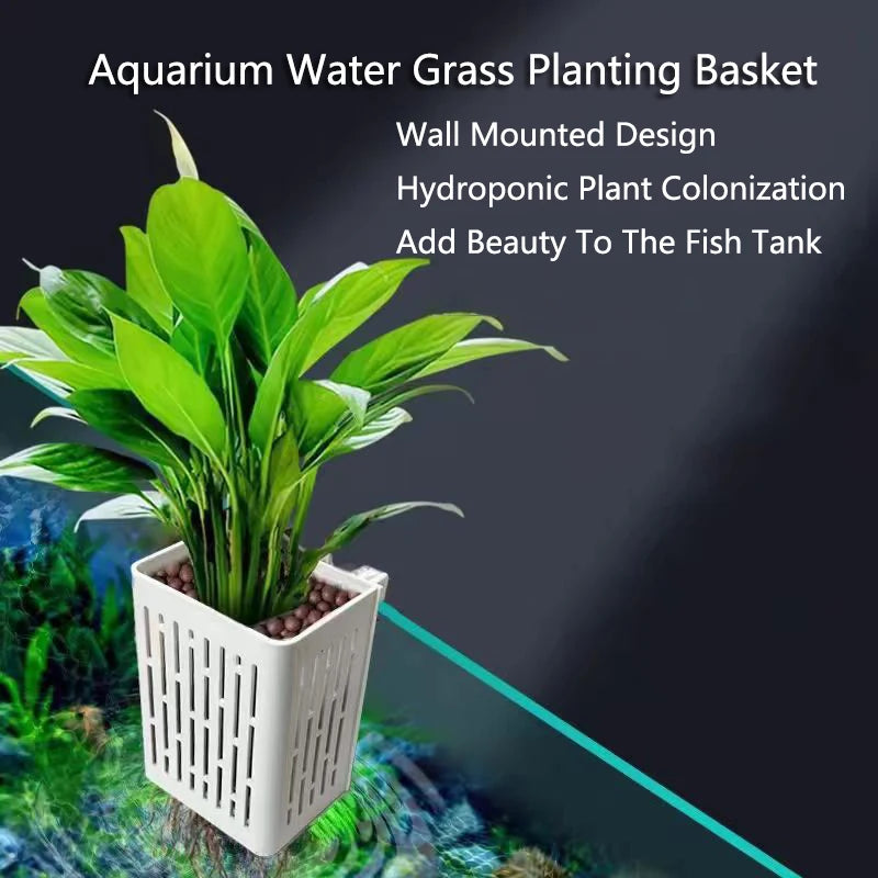 wall hanging water plants Aquarium Planting Basket Hydroponic Support Hangable Fish Tank Water G – Whiskers Way