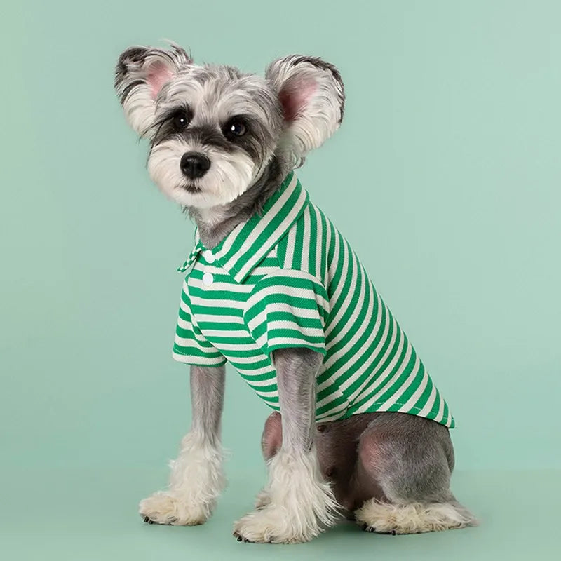 Striped Pet Polo Shirt Summer Dog Clothes for Small Dogs Cotton Puppy Vest Chihuahua Bichon Costume Cat T Shirt Dog Undershirt