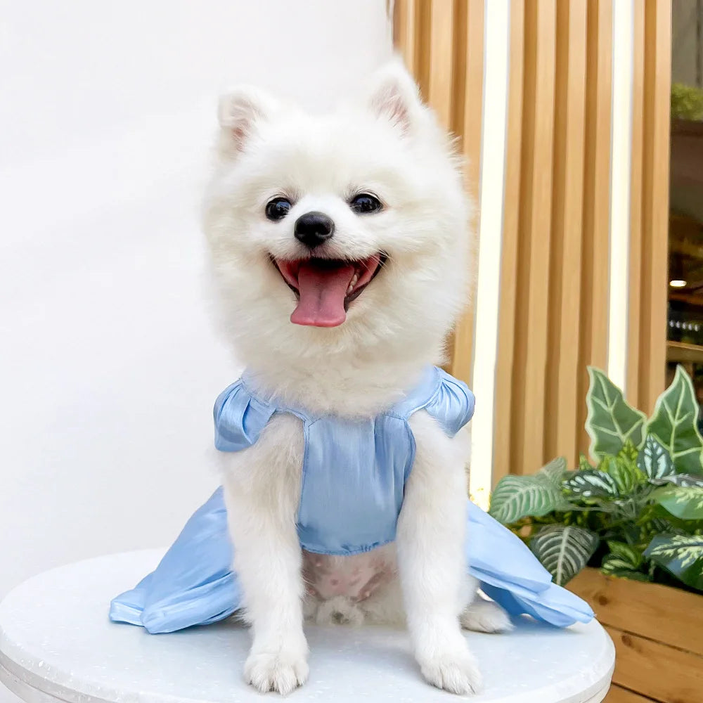 Summer Pet Dog Skirt Puppy Striped Butterfly Skirt Princess Baby Dog Wedding Midi Dress Cat Skirt Shih Tzu Dog Clothes for Party