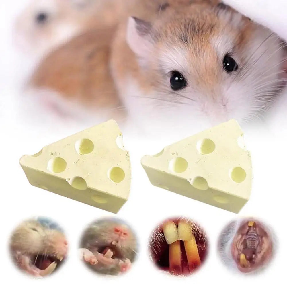 Hamster Molar Stone Guinea Pig Hamster Rabbit Teeth Supplies Stone Small Chew Grinding Toys Pets Pet Care Q6P3