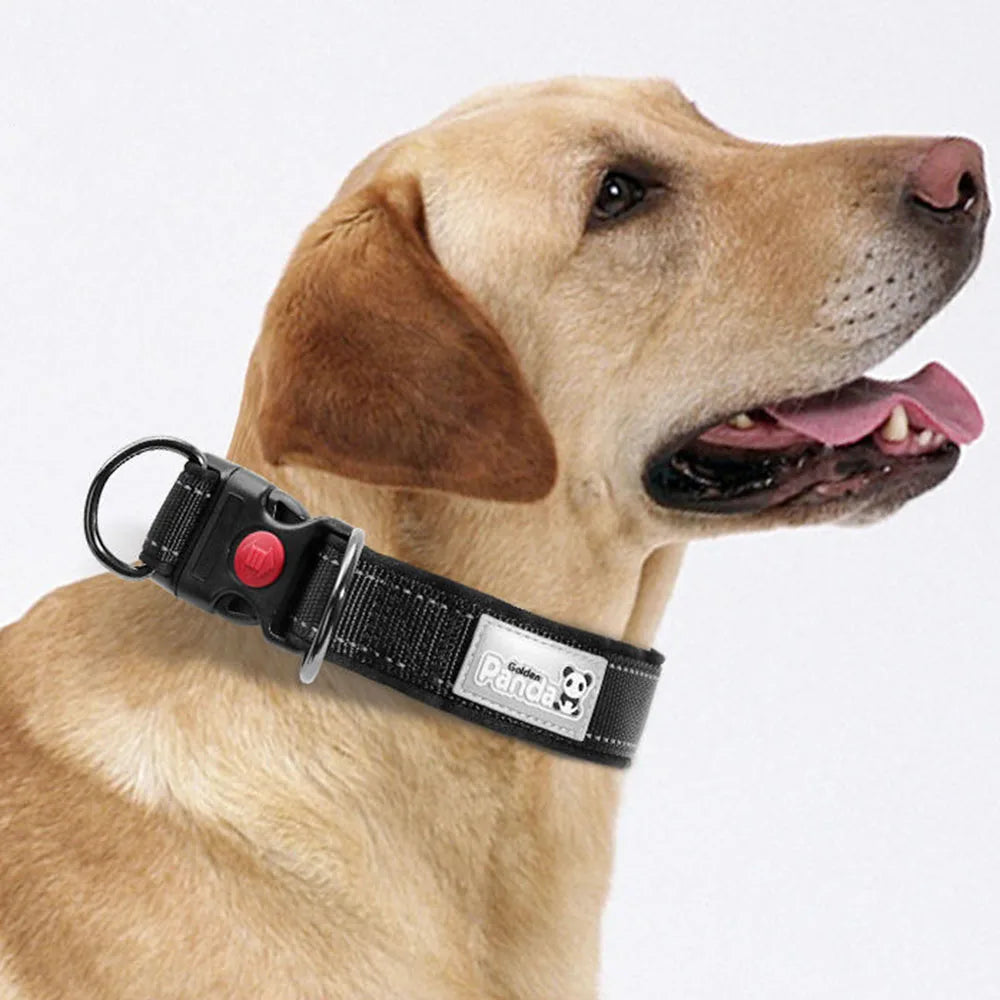 Adjustable Dog Collar Comfortable Soft Foam Padded Reflective Nylon Dog Collar with Double D Rings for Small Medium Large Dogs