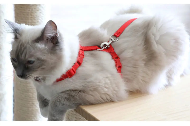 Adjustable Pet Cat Collar For Cats Cozy Nylon Rabbit Kitten Kedi Harness Leash Set Small Puppy Dog Cat Accessories Pet Products