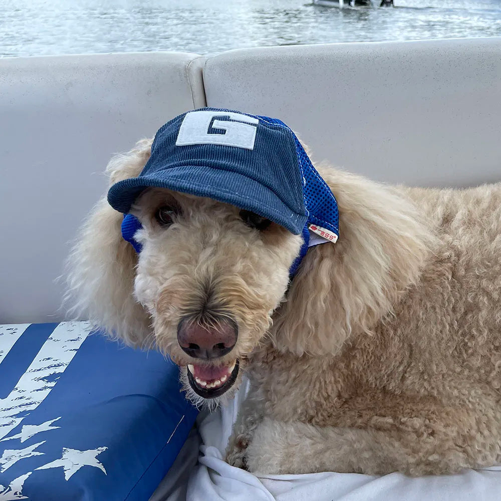 Sport Dog Baseball Cap Outdoor Pet Sunbonnet Hats Puppy Cap with Adjustable Ears Hole for Dogs Outdoor Summer Dogs Accessories