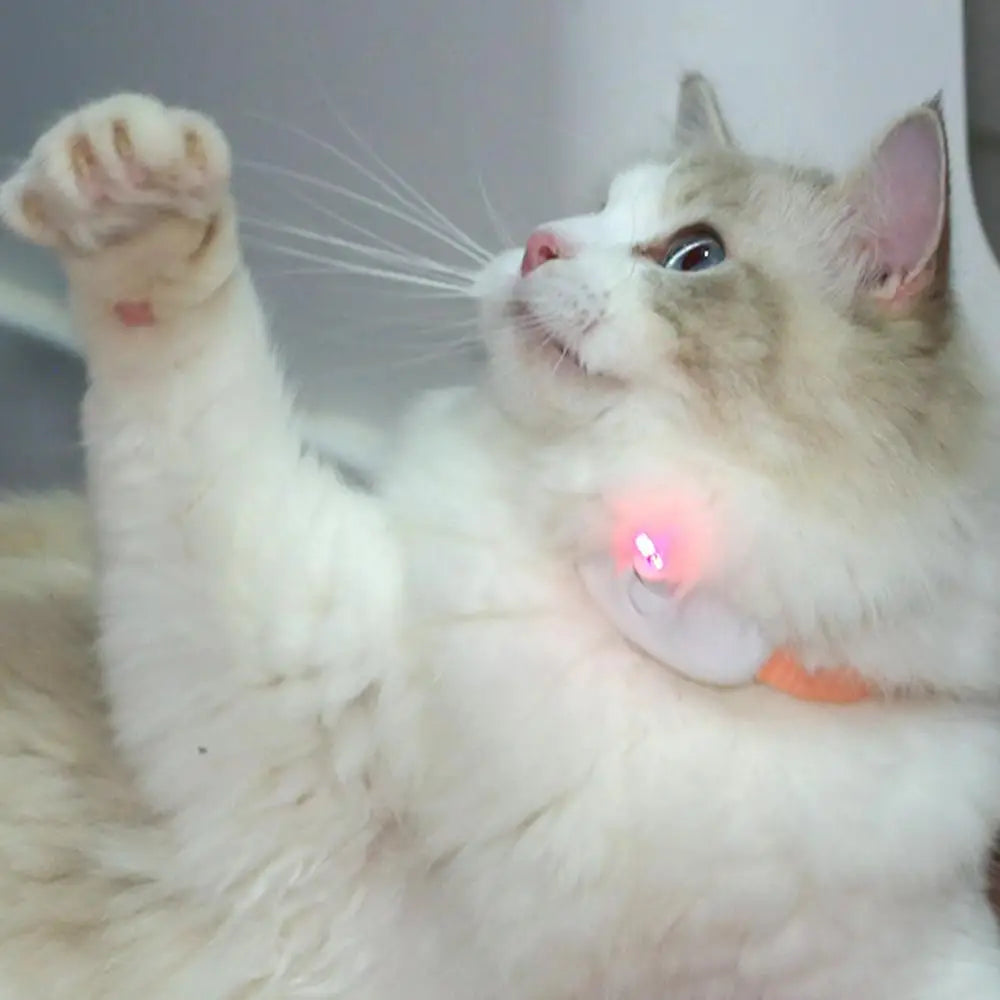 Laser Cat Collar LED Laser Cat Teasing Toy Cat Collar Toy Electric Smart Laser Teasing Cat Interactive Toy Kitten Playing Toy