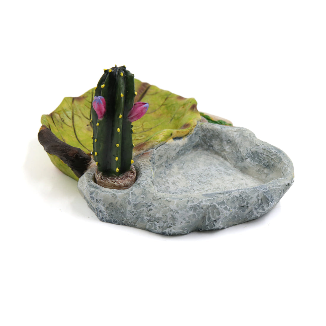 UXCELL Reptile Pet Bowls Feeding Tools Worm Dish Cereus Food Feeder Water Dish Resin Bowl Frog Gecko Spiders Turtles Reptile