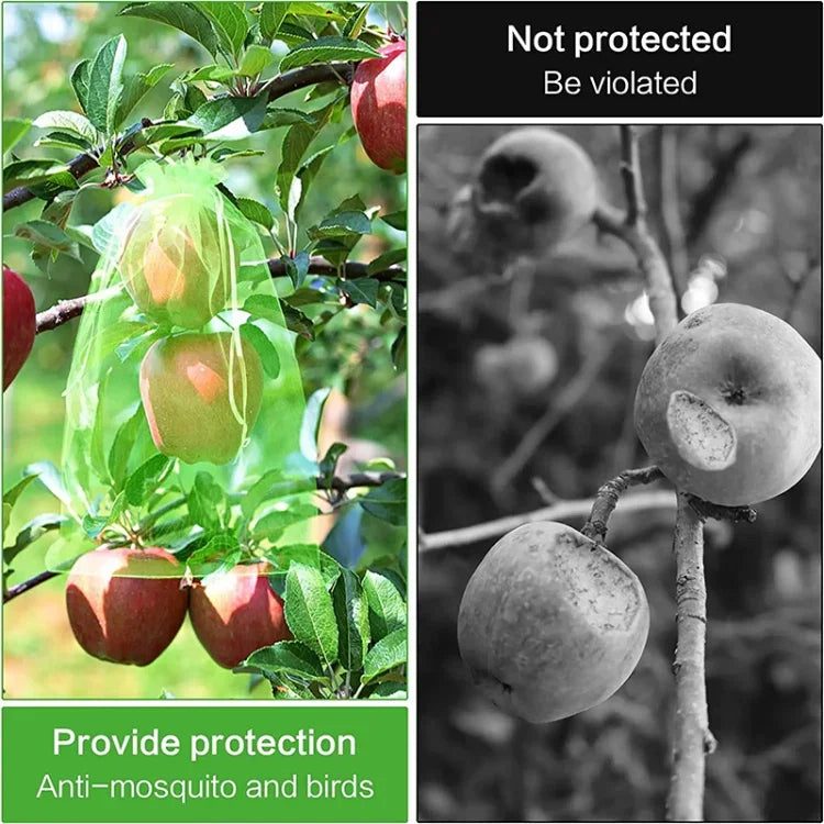 50Pcs Fruit Protection Anti-Bird Bags Strawberry Grapes Mesh Bag Plante Vegetable Netting Cover Garden Tool