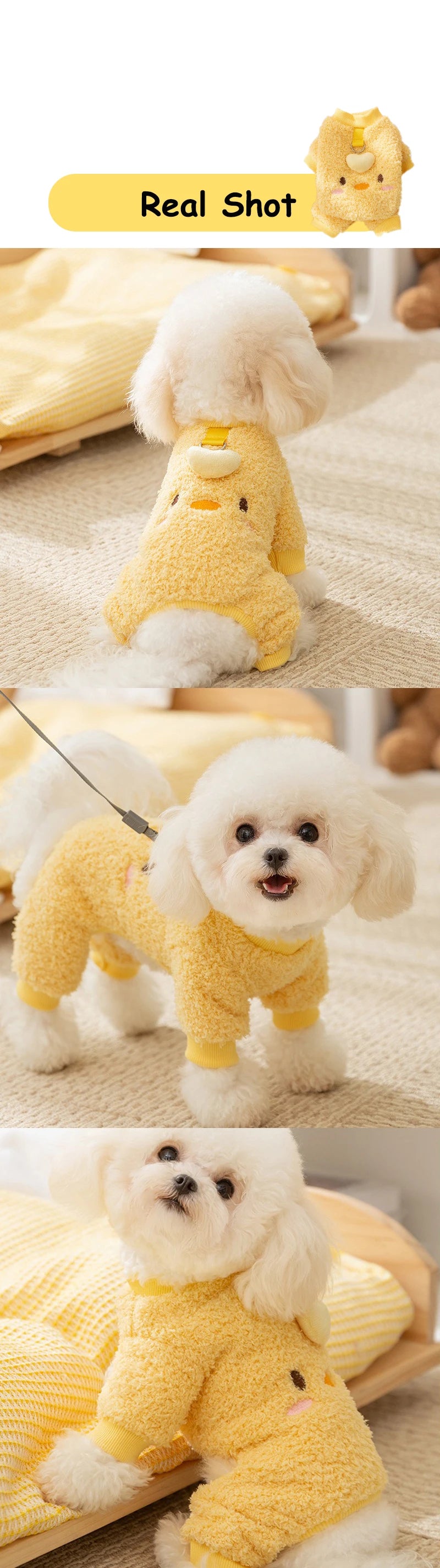 Four Legs Cartoon Chihuahua Dog Clothes Soft Fleece Outdoor Cat Clothing Designer Overalls Unisex Sweatshirt for Small Puppy