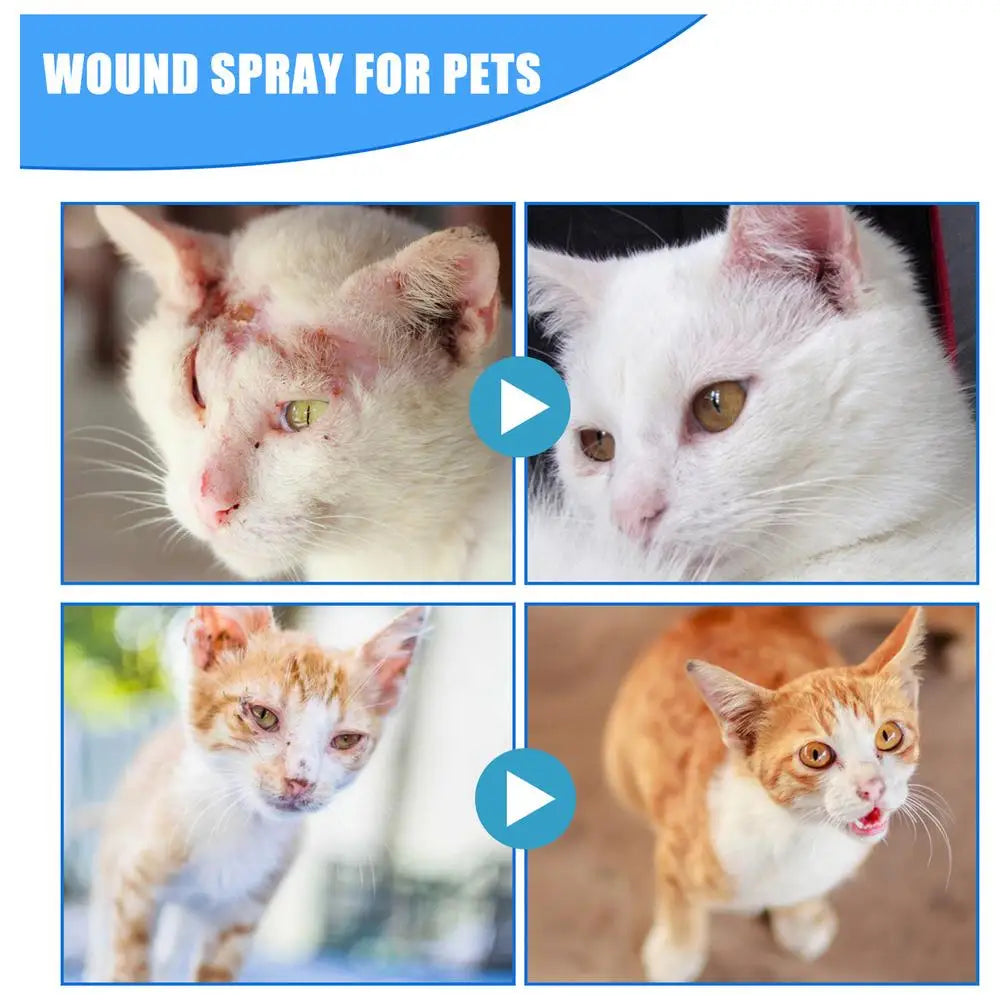 30ml Pets Anti-Itch Spray Pet Wound Spray Cats Dogs Skin Healthy Care Spray Pets Anti-Itch Treat Products For Sensitive Skin