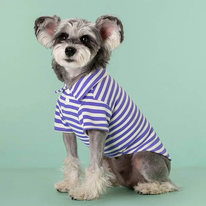 Striped Pet Polo Shirt Summer Dog Clothes for Small Dogs Cotton Puppy Vest Chihuahua Bichon Costume Cat T Shirt Dog Undershirt