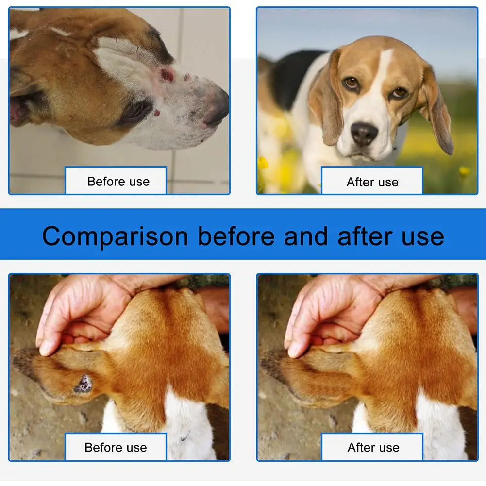Pet Wound Spray Dog Cat Skin Scratch Wound Treatment Repair Liquid Wound Spray Blocking O9R6