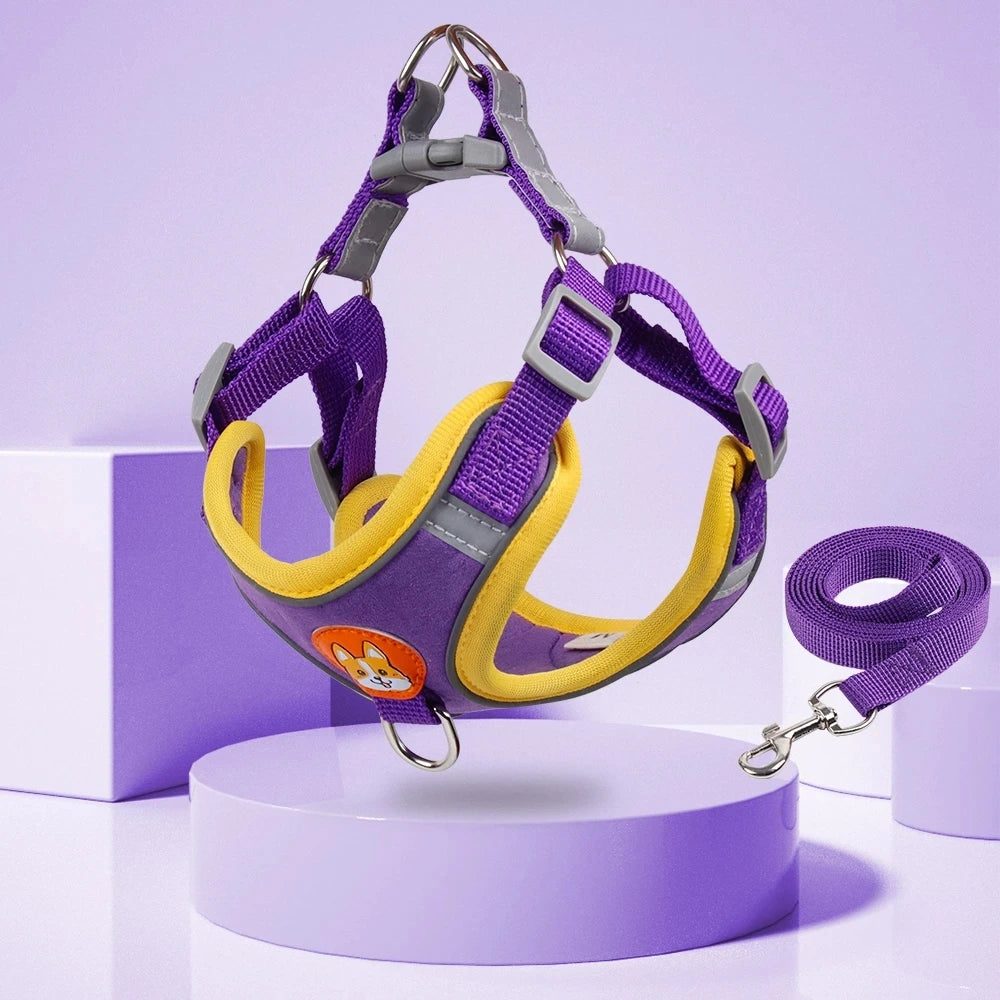 Step-in Dog Harness Small Dog Harness and Leash Set Adjustable Reflective Pet Dog Vest Soft Harness for Puppy Small Medium Breed