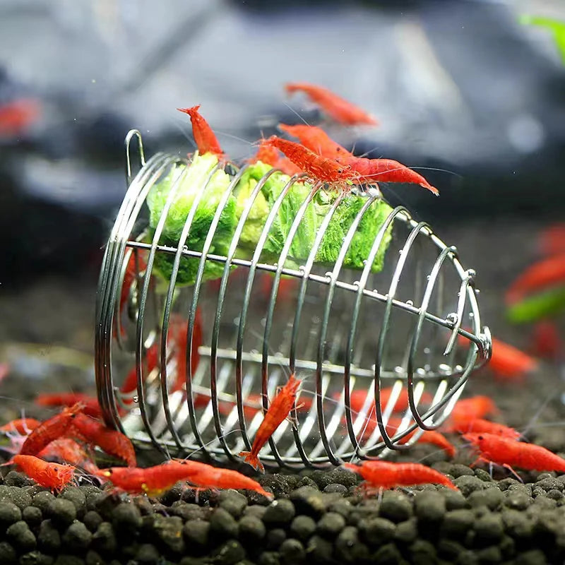Stainless Steel Aquarium Small Fishing Bait Feeder Fish Tank Crystal Shrimp Dry Food Feeding Fishing Lure Cage Trap Basket
