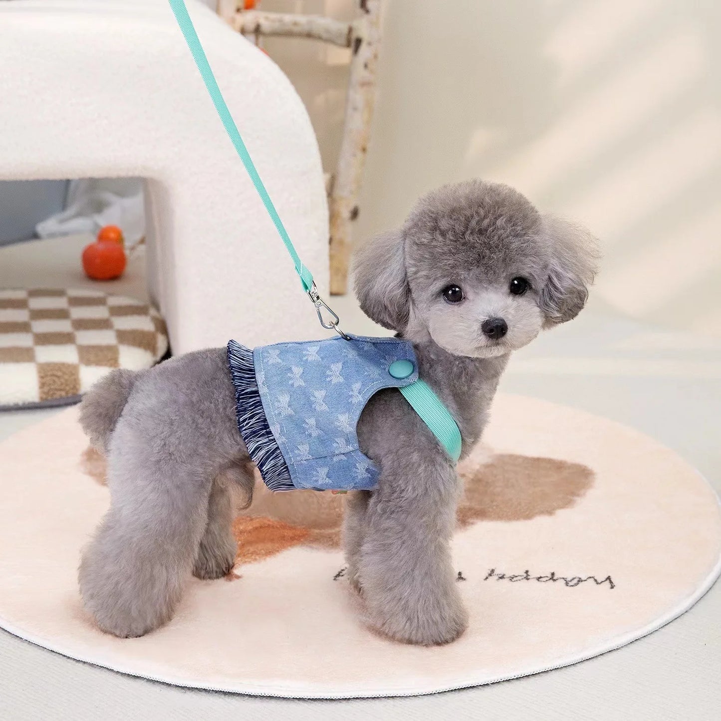 New Dog Harness and Leash Set for Small Dogs, Dark Wash Denim Puppy Dog Vest Harness Tassels Pet Jeans Butterfly Harness