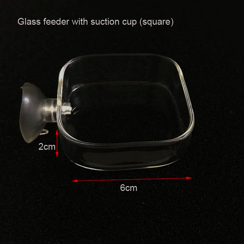 Transparent Aquarium Fish Tank Shrimp Food Feeding Circle Glass Feeder Floating Bottom Feeder Fish Shrimp Aquarium Accessories