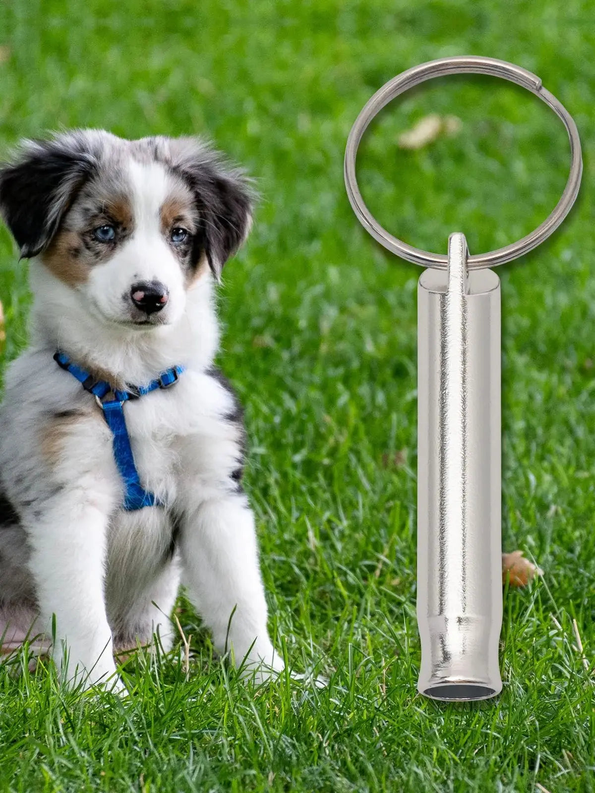 Dog Whistle to Stop Barking Neighbors Dog, Adjustable Ultrasonic Silent Dog Whistle, Professional Recall Dog Training Whistles
