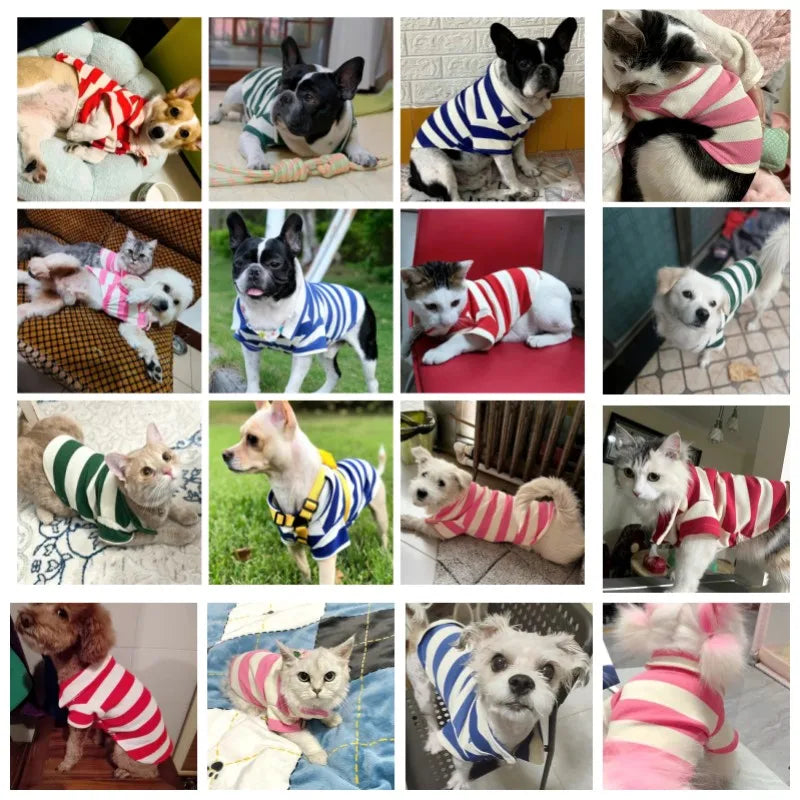 Striped Pet Polo Shirt Summer Dog Clothes for Small Dogs Cotton Puppy Vest Chihuahua Bichon Costume Cat T Shirt Dog Undershirt