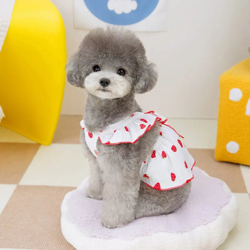 Summer Dog Strawberry Skirt Luxury Vest Suspender Dress Cooling Shirt for Bichon Chihuahua - Dog Outfit Summer Clothing