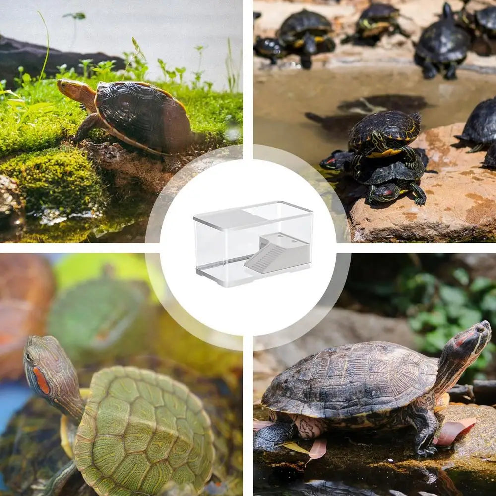 Turtle Tank Reptile Tank with Basking Platform Aquatic Tortoise Aquarium Reptile Habitat Tortoise Aquarium Habitat Turtle Carry