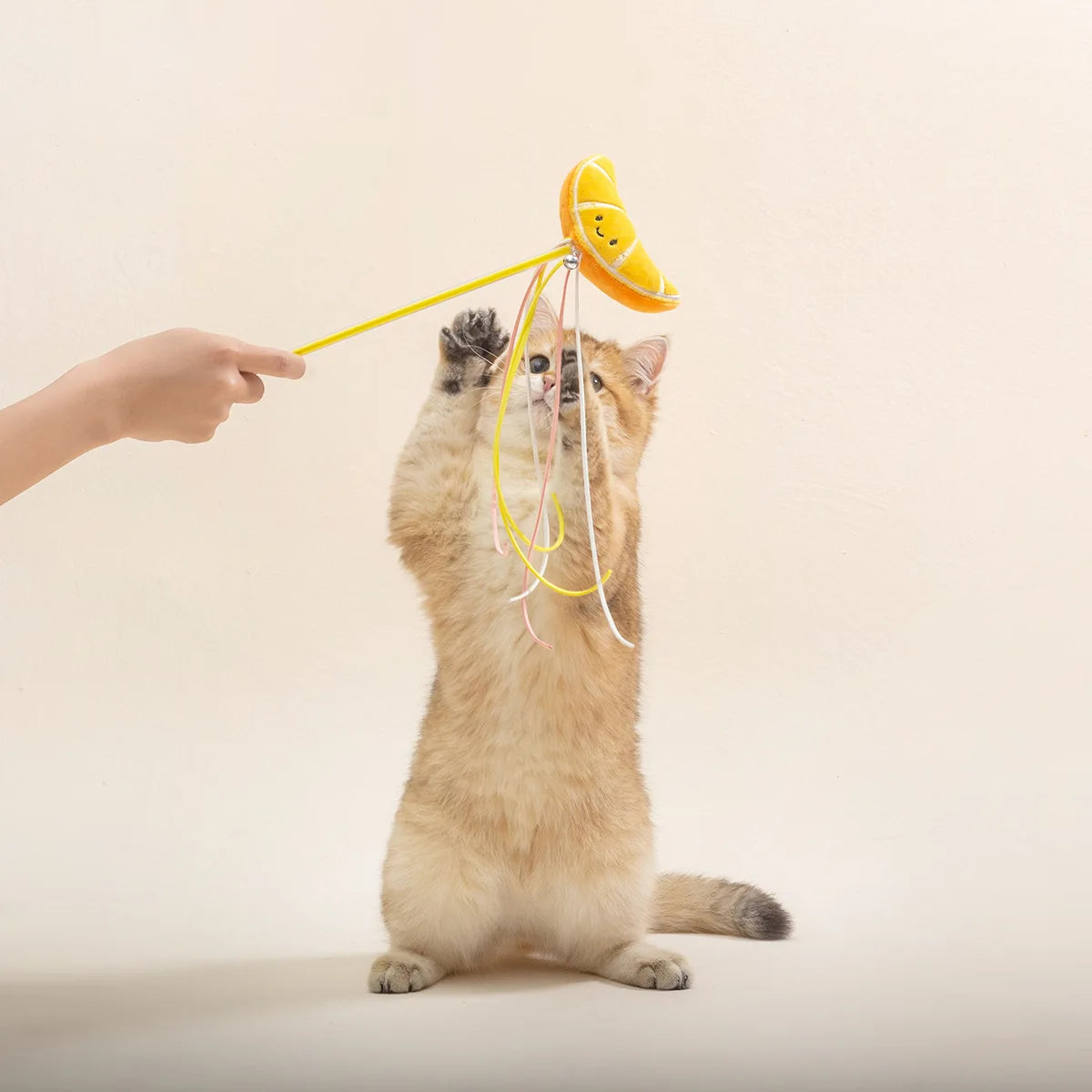 Cat Toy Cat Teaser Sticks Plastic Fruit Doll Cat Teaser Stick With Cat Mint Tassels Inside Self Hi Cat Toy