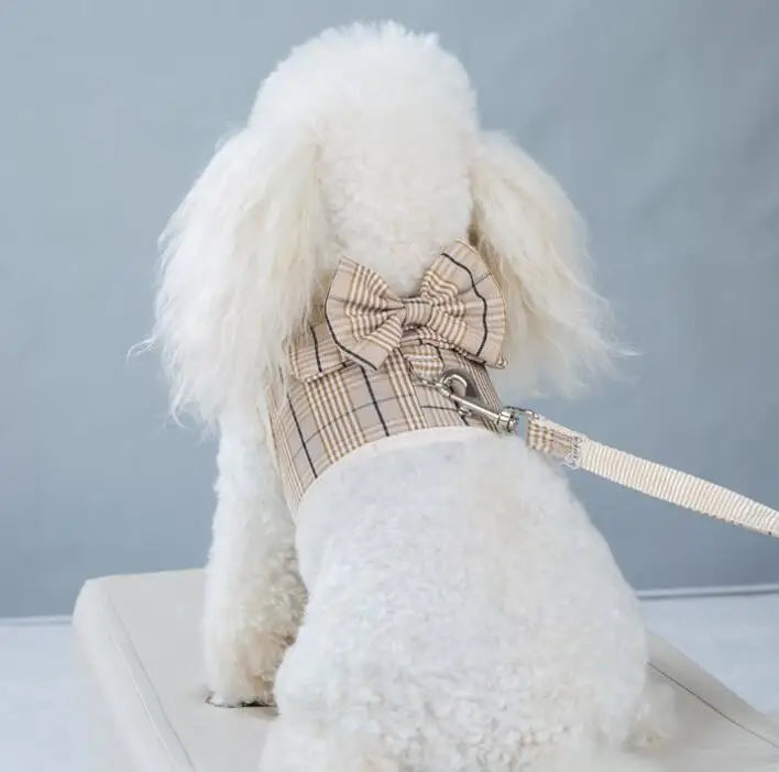 2023New Dog Harness Elegant Comfortable Breathable Pet Dress Collar For Small Dogs Fashion Lovers Vest Dog Harness and Leash Set