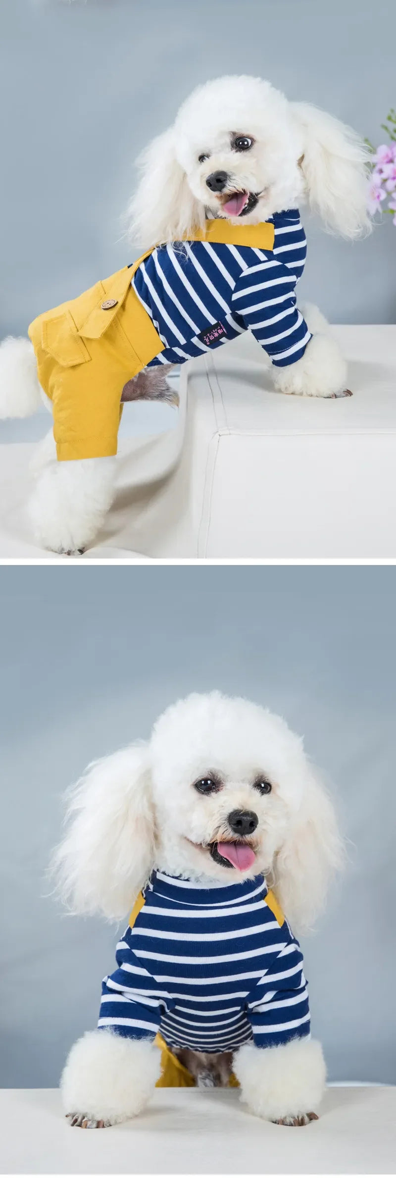 2023 Princess Dog Colorful Stripe Soft Suit Puppy Jumpsuit Spring Doggie Casual Pants Small Medium Pet Couple Four-Legged Coat