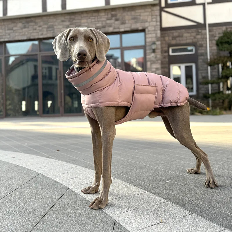 Italian Greyhound Hound Whippet Clothes Winter Turtleneck Dog Coat Thicken Padded Down Puffer Jacket for Medium Large Dogs