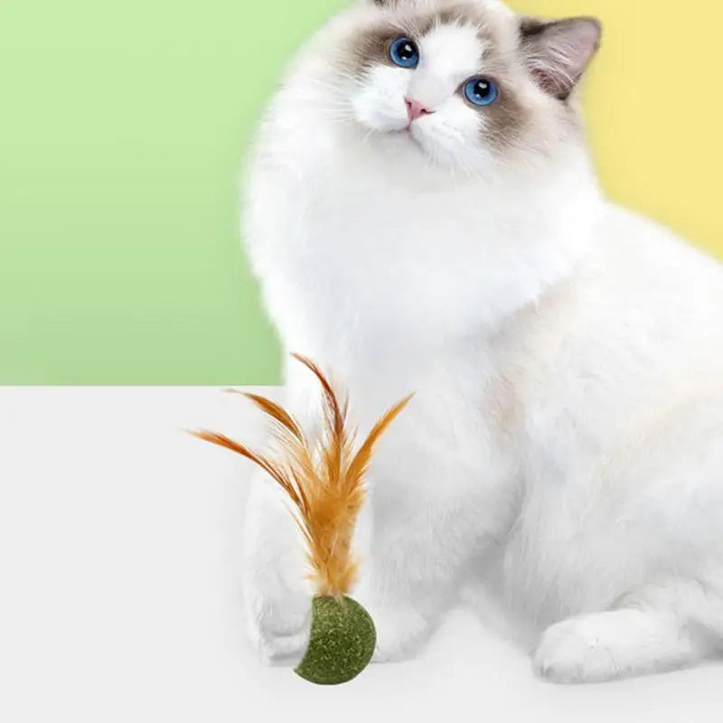 1pcs Catnip Feather Ball Interactive Natural Lollipop for Cat Kitten Toys, Feathers Design Teeth Cleaning Playing Toys