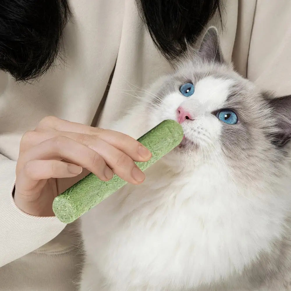 Cat Grass Teething Stick Cat Grass Sticks Pet Snacks Natural Grass Molar Rod Cat Chew Stick Teeth Cleaner Teeth Caring